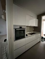 Skyline Residences (D4), Condominium #585357771